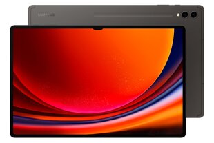 Планшет Samsung Tab S9 Ultra 5G 12/256GB Graphite SM-X916BZAAEUE цена и информация | для планшетов | kaup24.ee