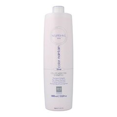 Šampoon hallidele juustele Nourishing Spa Color Silver Mantain Everego (1 L) hind ja info | Šampoonid | kaup24.ee