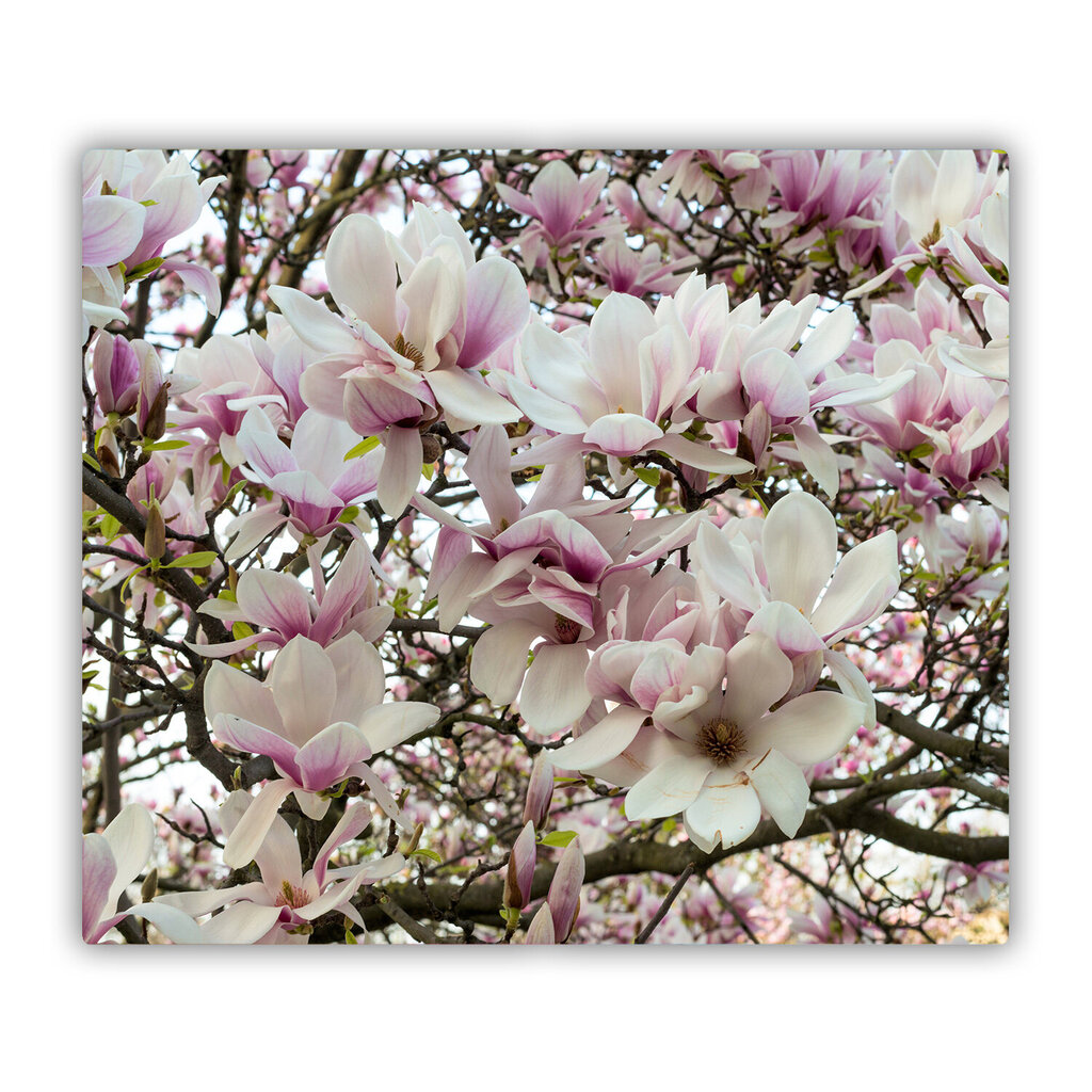 Tulup Lõikelaud Magnoolia lilled, 60x52 cm hind ja info | Lõikelauad | kaup24.ee
