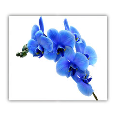 Tulup Lõikelaud Sinine Orhidee, 60x52 cm hind ja info | Lõikelauad | kaup24.ee