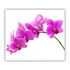 Tulup Lõikelaud Roosa Orhidee, 60x52 cm hind ja info | Lõikelauad | kaup24.ee