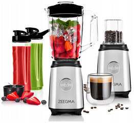 Zeegma vitamiin 1050 hõbe/hall blender цена и информация | Блендеры, измельчители | kaup24.ee