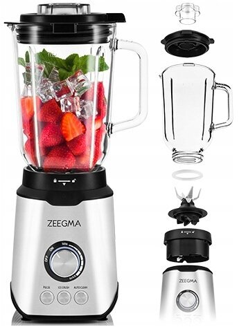 Zeegma Grand -vitamiin 1600 hõbe/hall blender цена и информация | Saumikserid, hakkijad | kaup24.ee