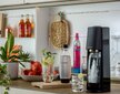 Sodastream terra + pudelid цена и информация | Mulliveemasinad | kaup24.ee