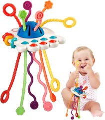 Montessori mini motoorikakeskus beebidele, 6-24 kuud hind ja info | Imikute mänguasjad | kaup24.ee