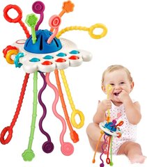 Montessori mini motoorikakeskus beebidele, 6-24 kuud цена и информация | Игрушки для малышей | kaup24.ee