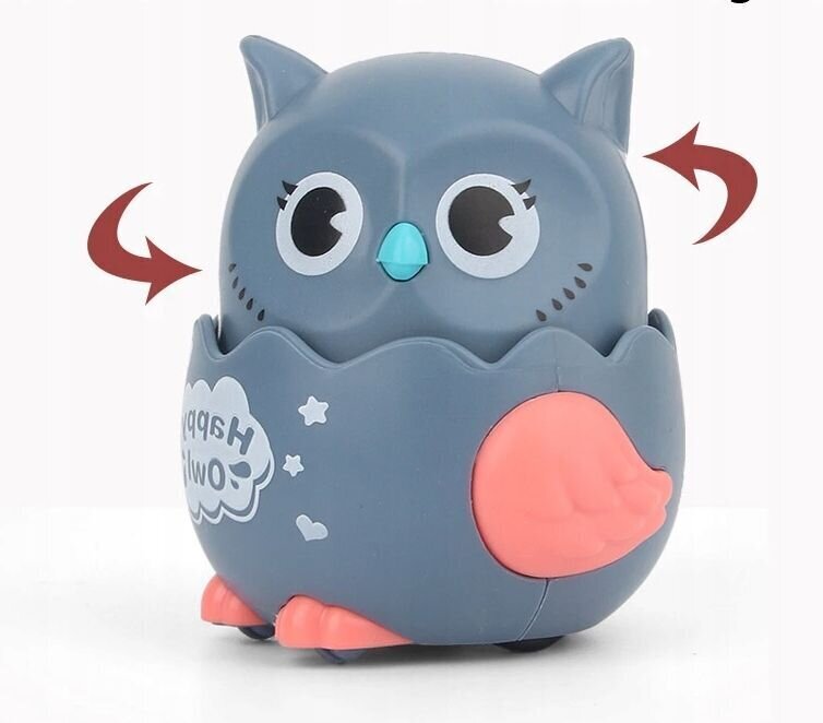 Sensoorne teerull Happy Owl, 1 tk hind ja info | Arendavad mänguasjad | kaup24.ee