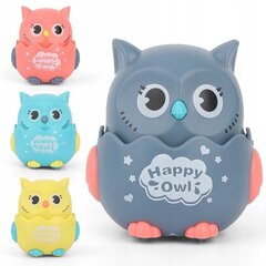 Sensoorne teerull Happy Owl, 1 tk цена и информация | Развивающие игрушки | kaup24.ee