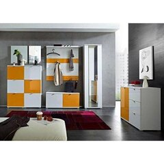 Дверь шкафа Aatrium 3263-185, оранжевый цвет цена и информация | Шкафчики в гостиную | kaup24.ee