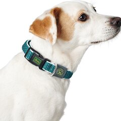 Koera kaelarihm Hunter Basic Pruun hind ja info | Kaelarihmad ja traksid koertele | kaup24.ee