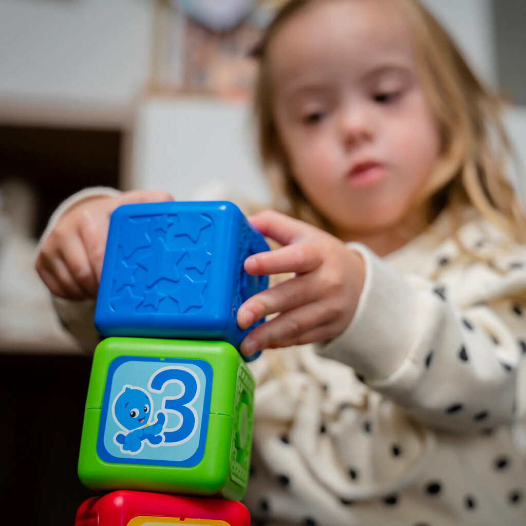 Baby Einstein magnetklotsid paremad kui lego duplo 6 tükki hind ja info | Imikute mänguasjad | kaup24.ee