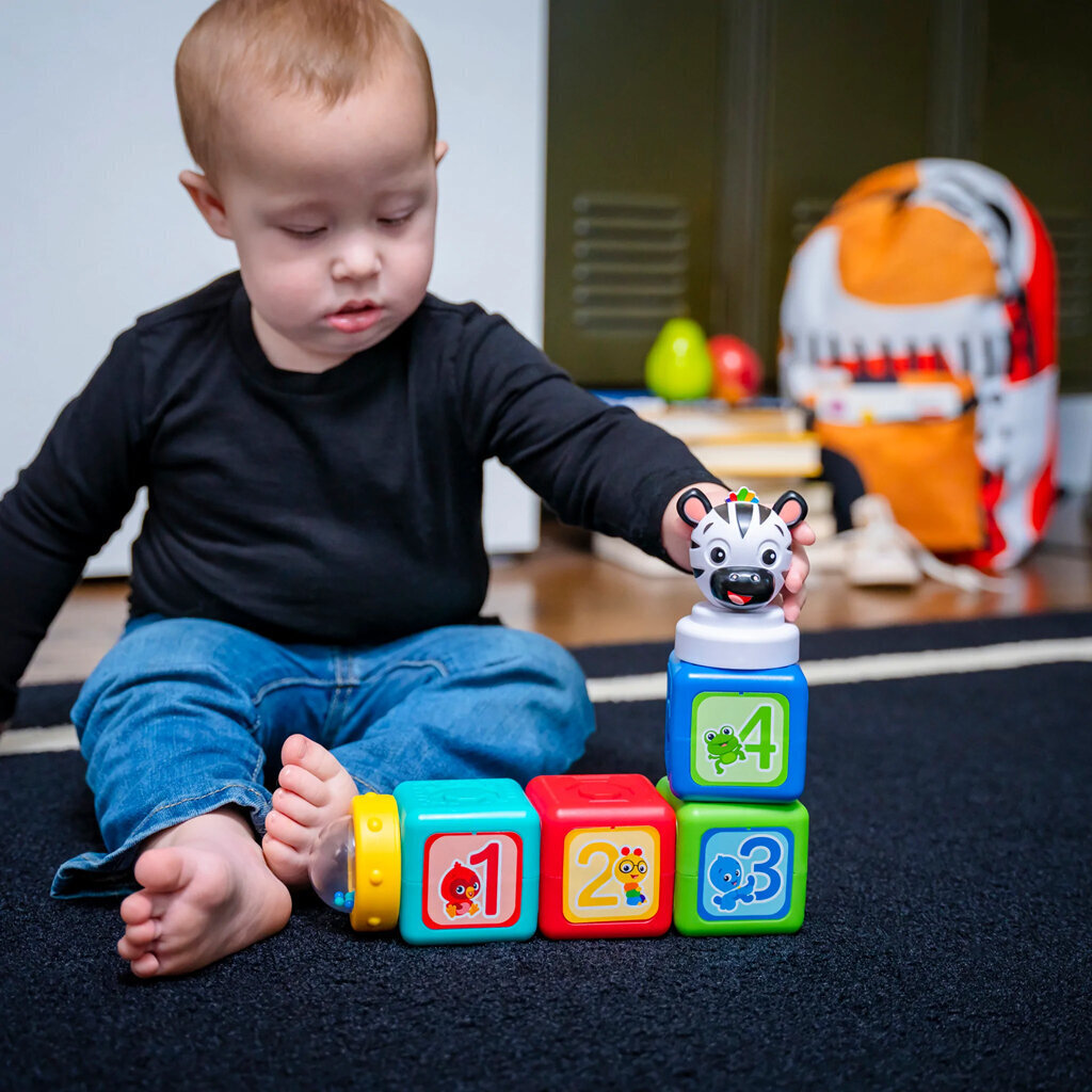 Baby Einstein magnetklotsid paremad kui lego duplo 6 tükki hind ja info | Imikute mänguasjad | kaup24.ee