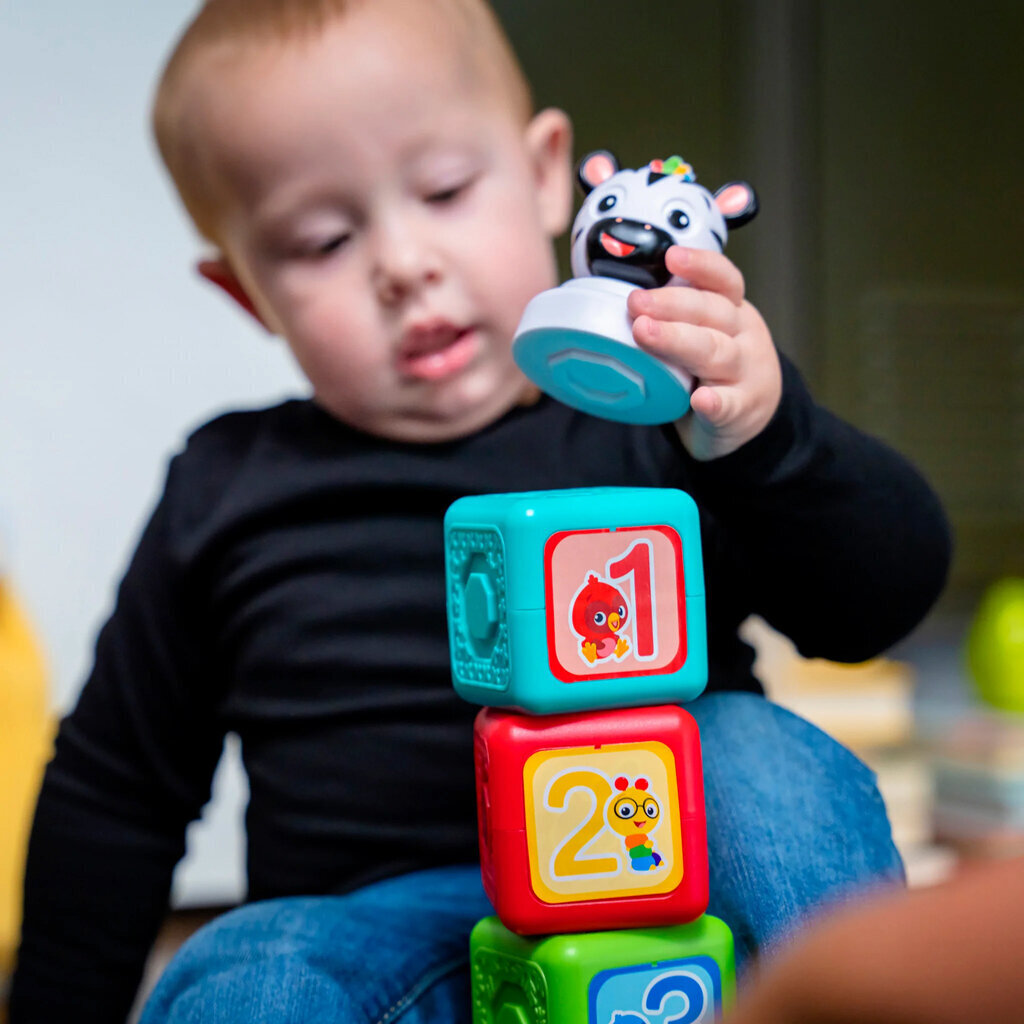 Baby Einstein magnetklotsid paremad kui lego duplo 6 tükki hind ja info | Imikute mänguasjad | kaup24.ee