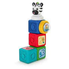 Baby Einstein magnetklotsid paremad kui lego duplo 6 tükki hind ja info | Oball Lapsed ja imikud | kaup24.ee