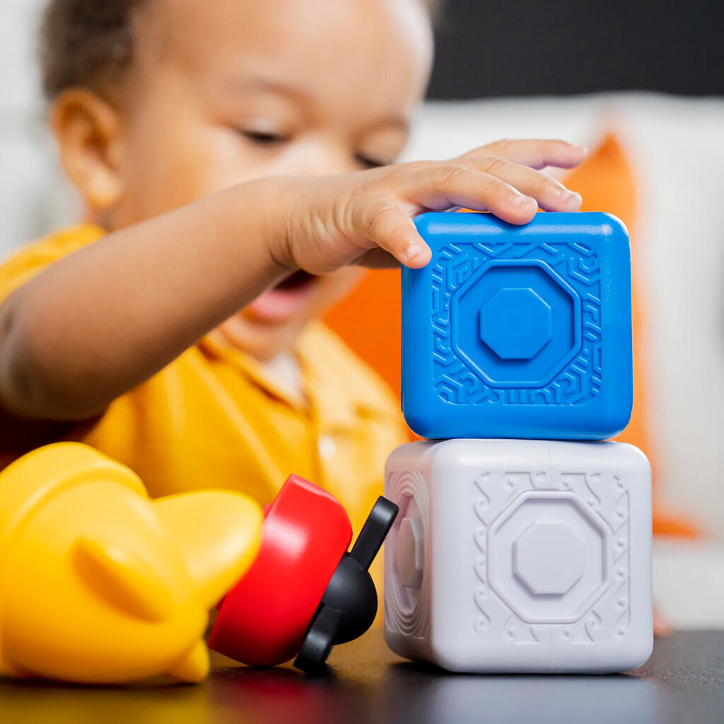 Baby Einstein magnetklotsid paremad kui lego duplo 11 tükki hind ja info | Imikute mänguasjad | kaup24.ee