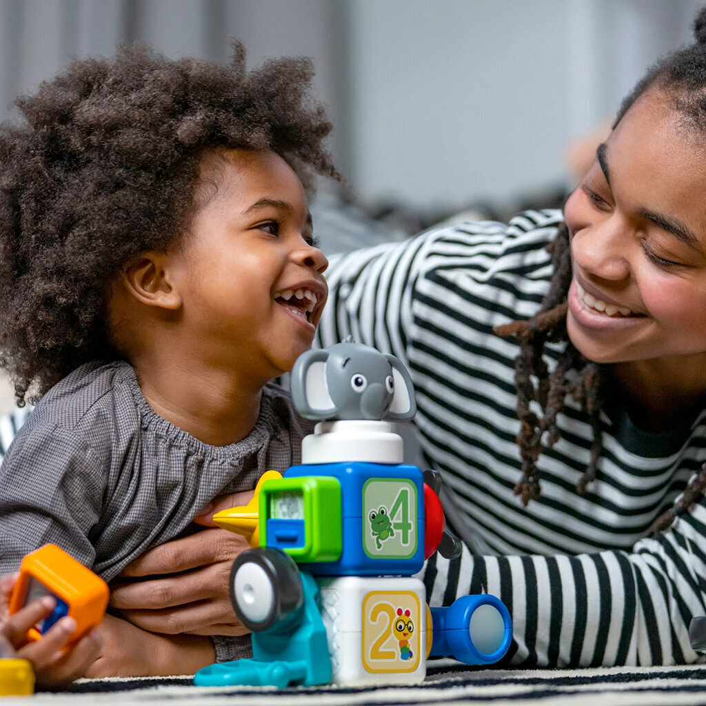 Baby Einstein magnetklotsid paremad kui lego duplo 11 tükki hind ja info | Imikute mänguasjad | kaup24.ee