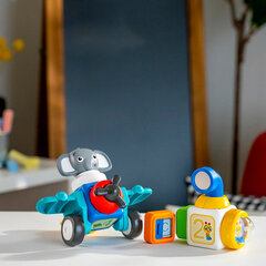 Baby Einstein magnetklotsid paremad kui lego duplo 11 tükki hind ja info | Imikute mänguasjad | kaup24.ee