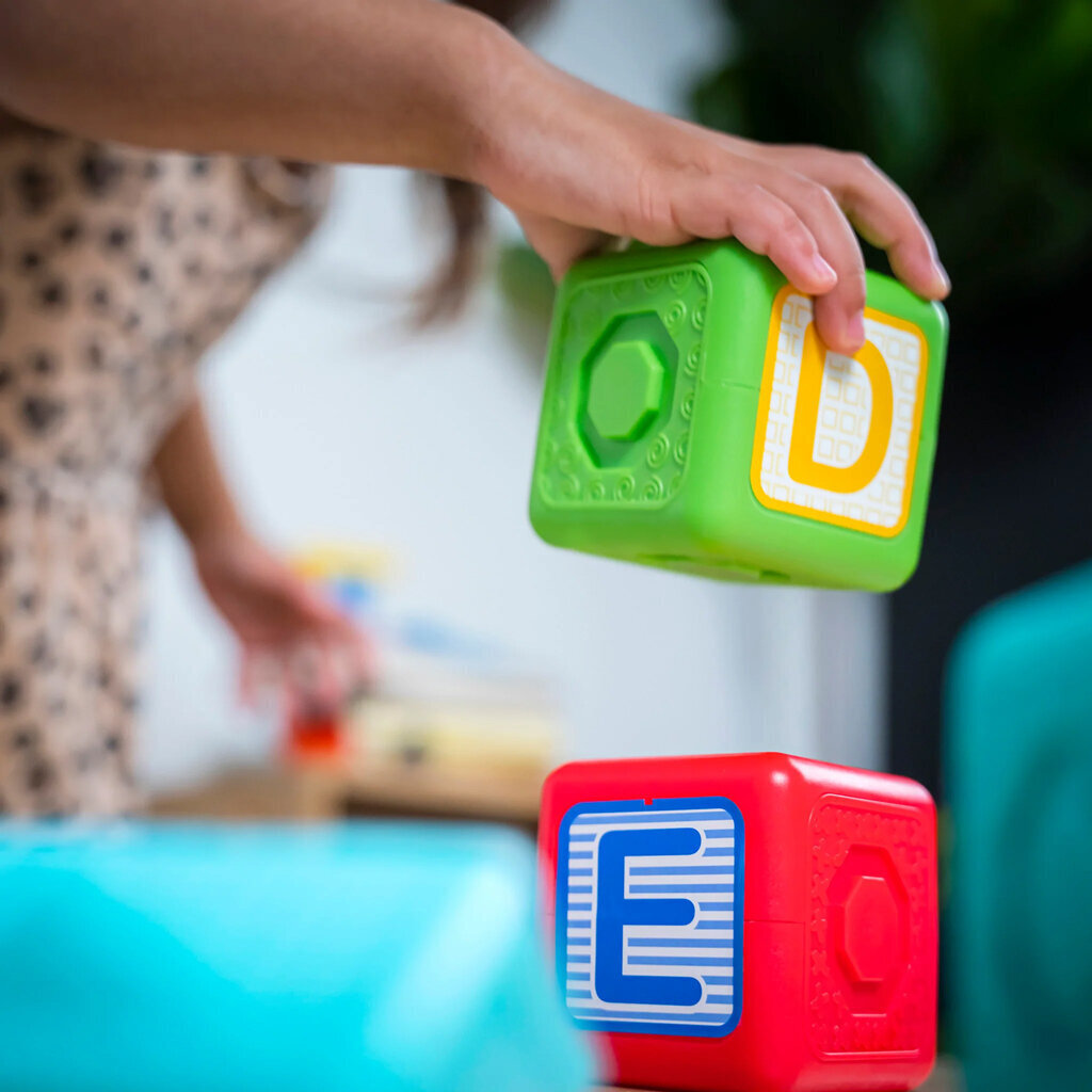 " Baby Einstein Magnetic Bricks Better than Lego Duplo 15 tükki hind ja info | Imikute mänguasjad | kaup24.ee