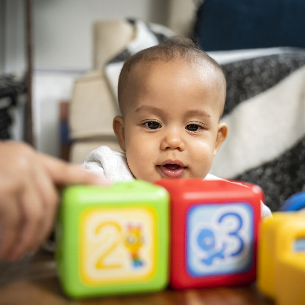 " Baby Einstein Magnetic Bricks Better than Lego Duplo 20 tükki hind ja info | Imikute mänguasjad | kaup24.ee