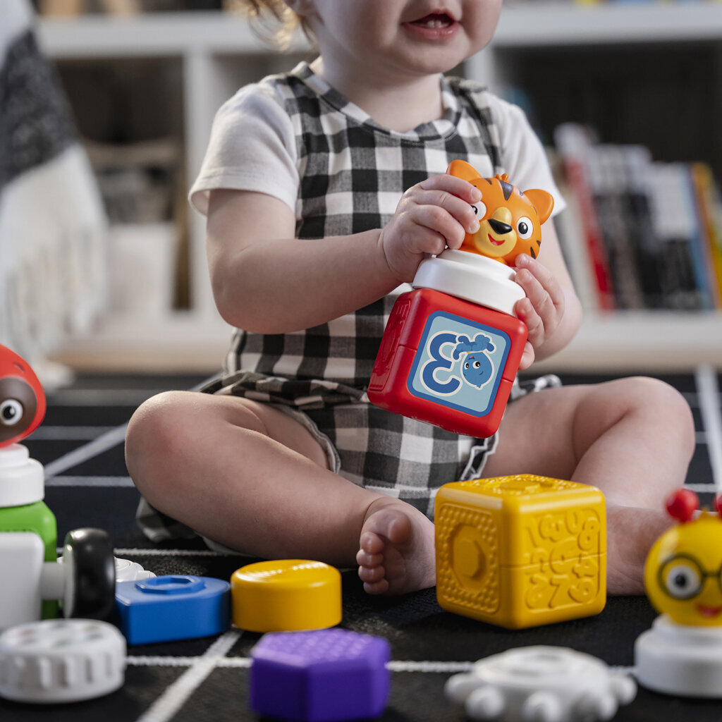 " Baby Einstein Magnetic Bricks Better than Lego Duplo 20 tükki hind ja info | Imikute mänguasjad | kaup24.ee