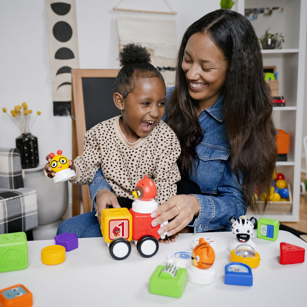 " Baby Einstein Magnetic Bricks Better than Lego Duplo 20 tükki hind ja info | Imikute mänguasjad | kaup24.ee