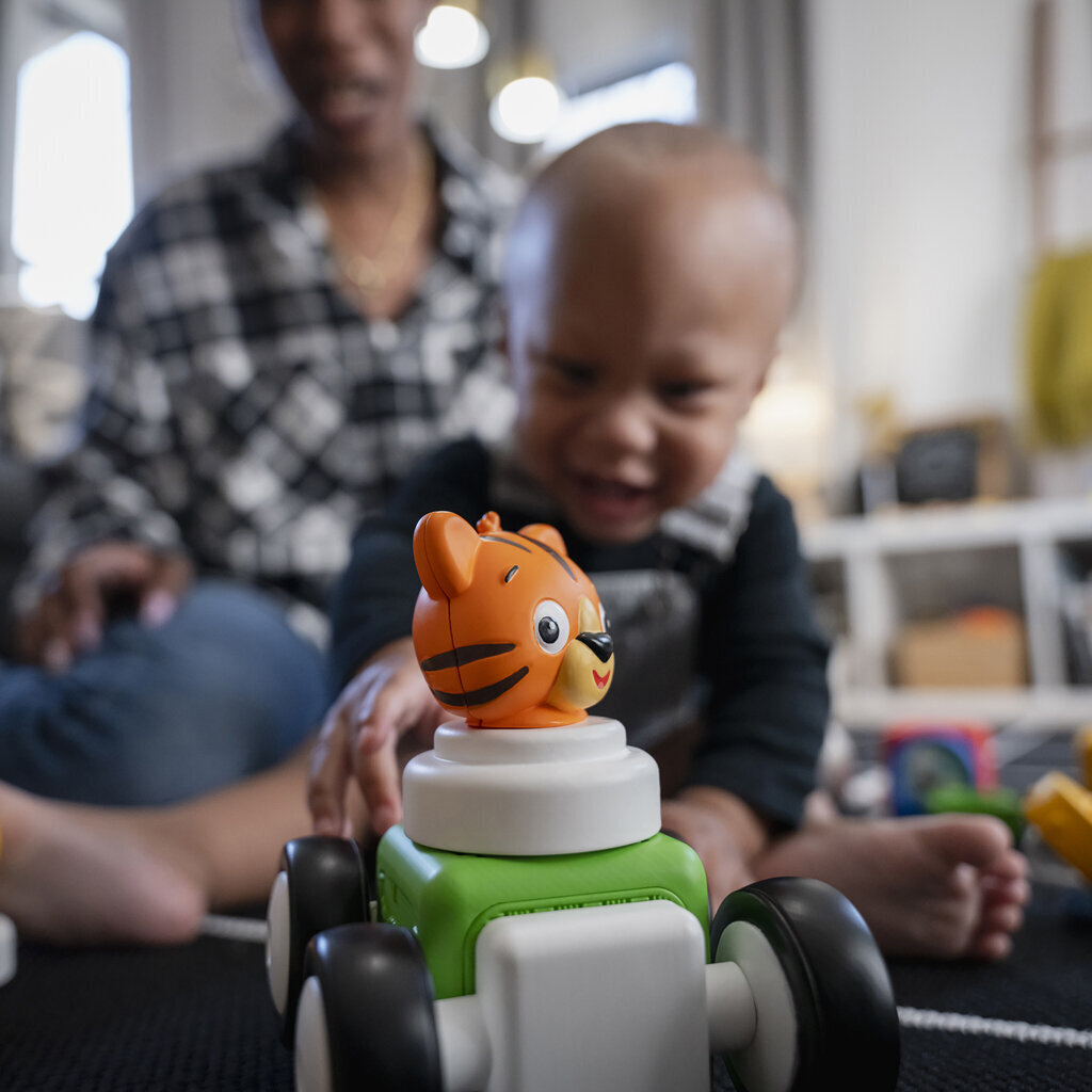 " Baby Einstein Magnetic Bricks Better than Lego Duplo 20 tükki hind ja info | Imikute mänguasjad | kaup24.ee