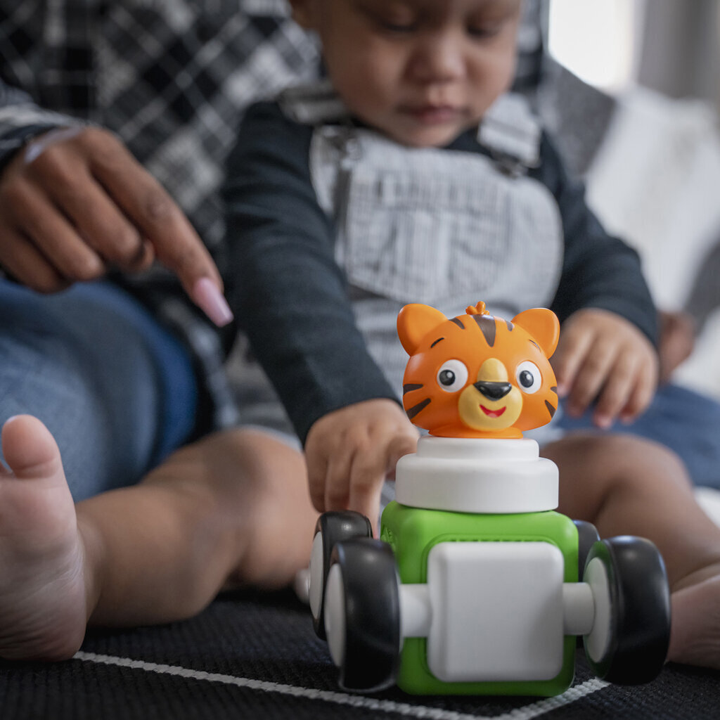 " Baby Einstein Magnetic Bricks Better than Lego Duplo 20 tükki цена и информация | Imikute mänguasjad | kaup24.ee