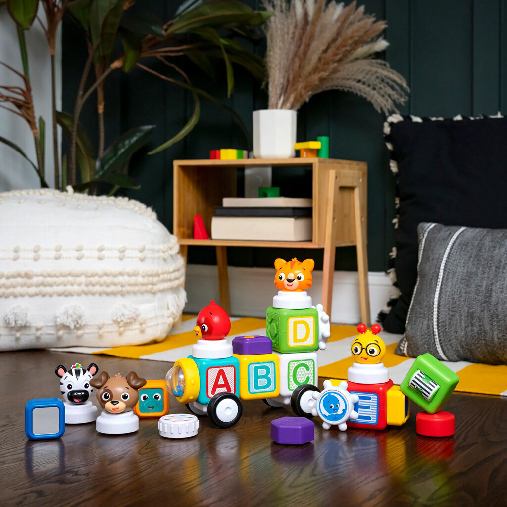 "Baby Einstein Magnetic Blocks 24 tk. hind ja info | Imikute mänguasjad | kaup24.ee