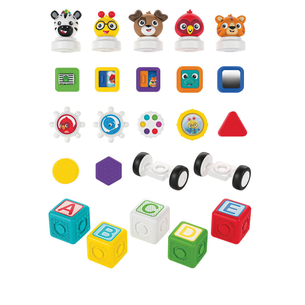 "Baby Einstein Magnetic Blocks 24 tk. hind ja info | Imikute mänguasjad | kaup24.ee