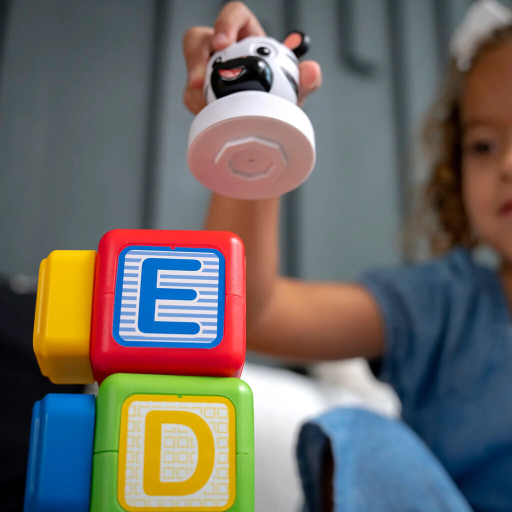 "Baby Einstein Magnetic Blocks 24 tk. hind ja info | Imikute mänguasjad | kaup24.ee