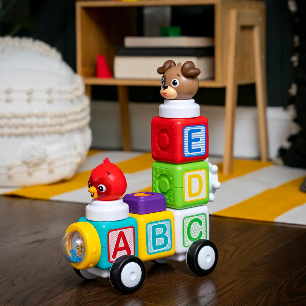 "Baby Einstein Magnetic Blocks 24 tk. hind ja info | Imikute mänguasjad | kaup24.ee