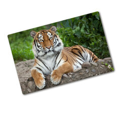 Tulup Lõikelaud Siberi tiiger, 80x52 cm hind ja info | Lõikelauad | kaup24.ee