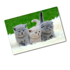 Tulup Lõikelaud Kolme kassi tekk, 80x52 cm hind ja info | Lõikelauad | kaup24.ee