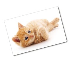 Tulup Lõikelaud Punane kass, 80x52 cm hind ja info | Lõikelauad | kaup24.ee