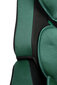 Caretero turvatool Vivo Fresh, 9-36 kg, dark green hind ja info | Turvatoolid | kaup24.ee