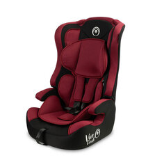 Caretero turvatool Vivo Fresh, 9-36 kg, burgundy цена и информация | Автокресла | kaup24.ee