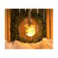 LED-lamp Lumineo Valge hind ja info | Jõulukaunistused | kaup24.ee