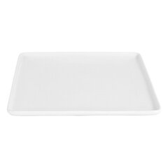 Плоская тарелка (24 x 24 x 2 см) цена и информация | Посуда, тарелки, обеденные сервизы | kaup24.ee