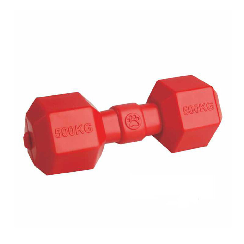 Ujuv kummist mänguasi Mr. Strong, punane, 9x19,5 cm цена и информация | Mänguasjad koertele | kaup24.ee