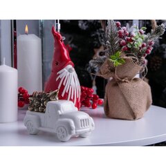 Jõuludekoratiivne auto puuga, valge hind ja info | Jõulukaunistused | kaup24.ee