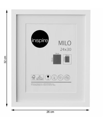 Pildiraam Milo, 26x32 cm цена и информация | Pildiraamid | kaup24.ee