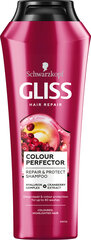 Gliss Ultimate Color Shampoo, 250 мл, 6 набор упаковки цена и информация | Шампуни | kaup24.ee