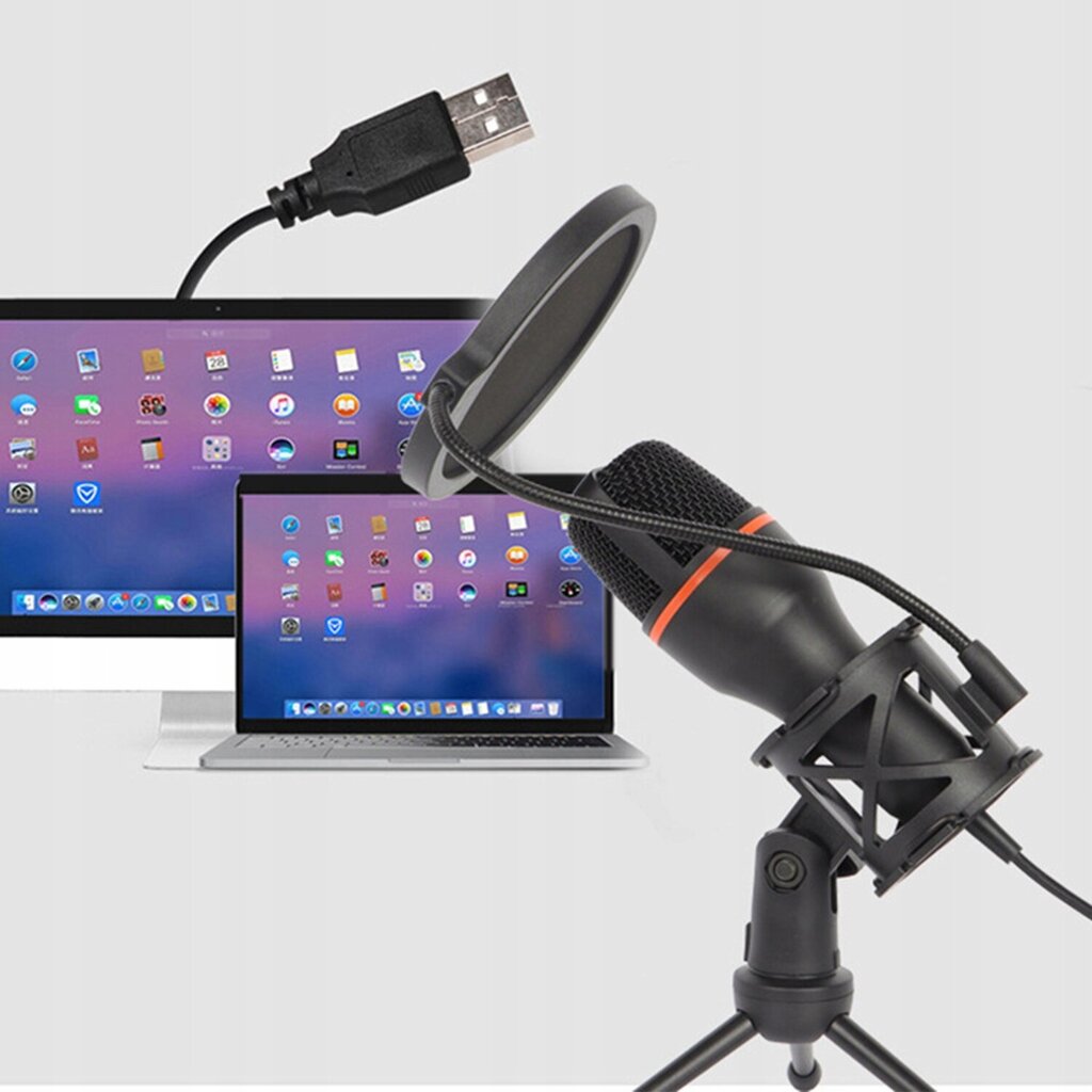 Mikrofon filtri ja USB kaabliga, heli salvestamiseks, RGB valgustus hind ja info | Mikrofonid | kaup24.ee