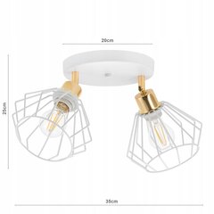 Светодиодный потолочный светильник Ледлюкс цена и информация | Потолочные светильники | kaup24.ee