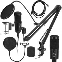 Mikrofon popfiltri ja USB-kaabliga hind ja info | Mikrofonid | kaup24.ee