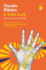 Little Luck цена и информация | Фантастика, фэнтези | kaup24.ee