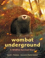 Wombat Underground: A Wildfire Survival Story hind ja info | Noortekirjandus | kaup24.ee
