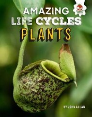 Plants - Amazing Life Cycles цена и информация | Книги для подростков и молодежи | kaup24.ee