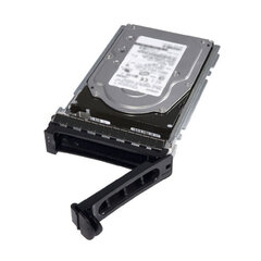 Dell 400-ATJG цена и информация | Внутренние жёсткие диски (HDD, SSD, Hybrid) | kaup24.ee