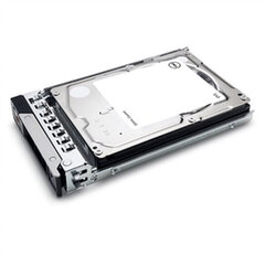 Dell 401-ABHQ цена и информация | Внутренние жёсткие диски (HDD, SSD, Hybrid) | kaup24.ee